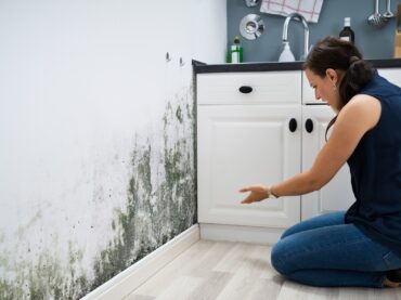 Mold Inspector Florida, Moho mold clean limpieza in Florida, Miami